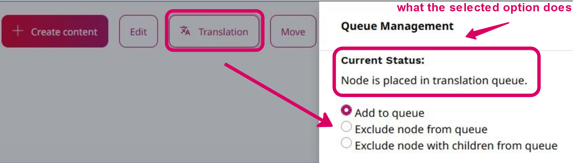 Dialog box to exclude content items from translation queue